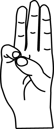 Buddhi Mudra