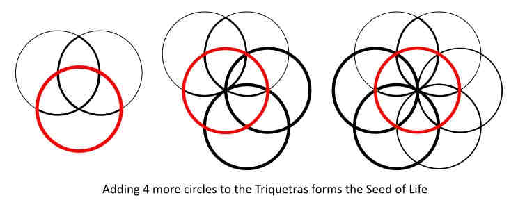 Triquetra to Seed of life